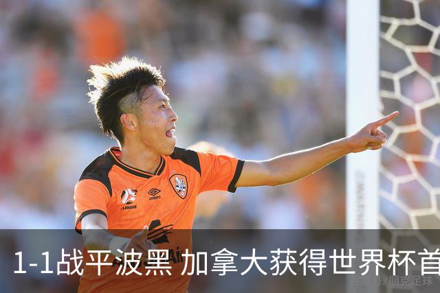 1-1战平波黑 加拿大获得世界杯首个积分